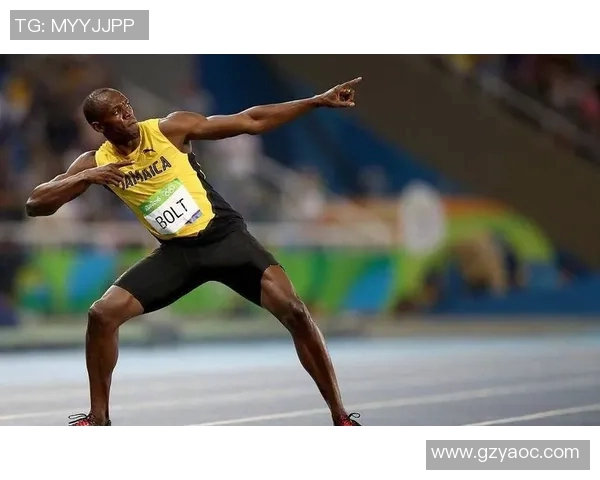 波斯尼亚体育明星排名榜揭晓他们在国际舞台上的辉煌成就与影响力