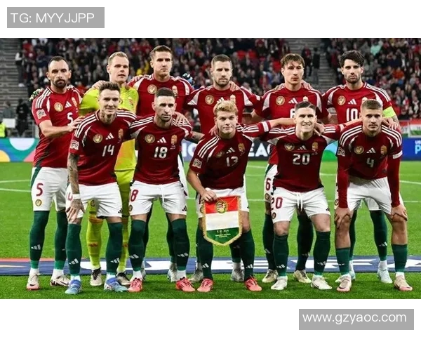 波黑足球明星盘点及其在国际赛场上的辉煌成就与影响力分析 波黑足球明星盘点及其在国际赛场上的辉煌成就与影响力分析