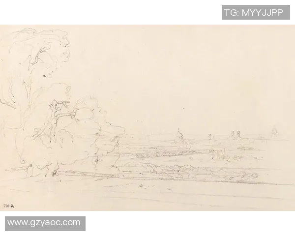 足球明星皮克的艺术人生与绘画创作之旅 足球明星皮克的艺术人生与绘画创作之旅