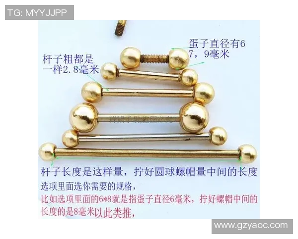 时尚包包扣五金配件哑铃扣的多样选择与搭配技巧分享